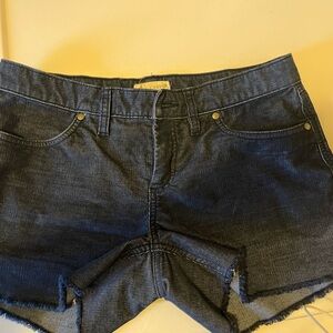 Carve Designs Navy Oahu Short - Women's